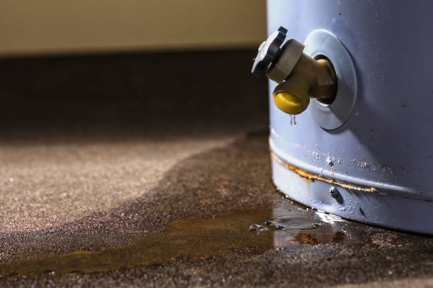 Best Fire Damage Restoration  in Linton Hall, VA
