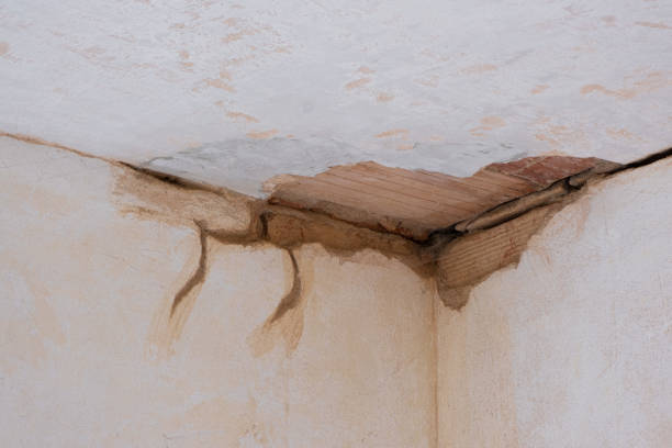 Water damage restoration insurance claims in VA