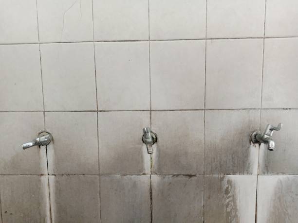Best Water damage restoration near me  in Linton Hall, VA